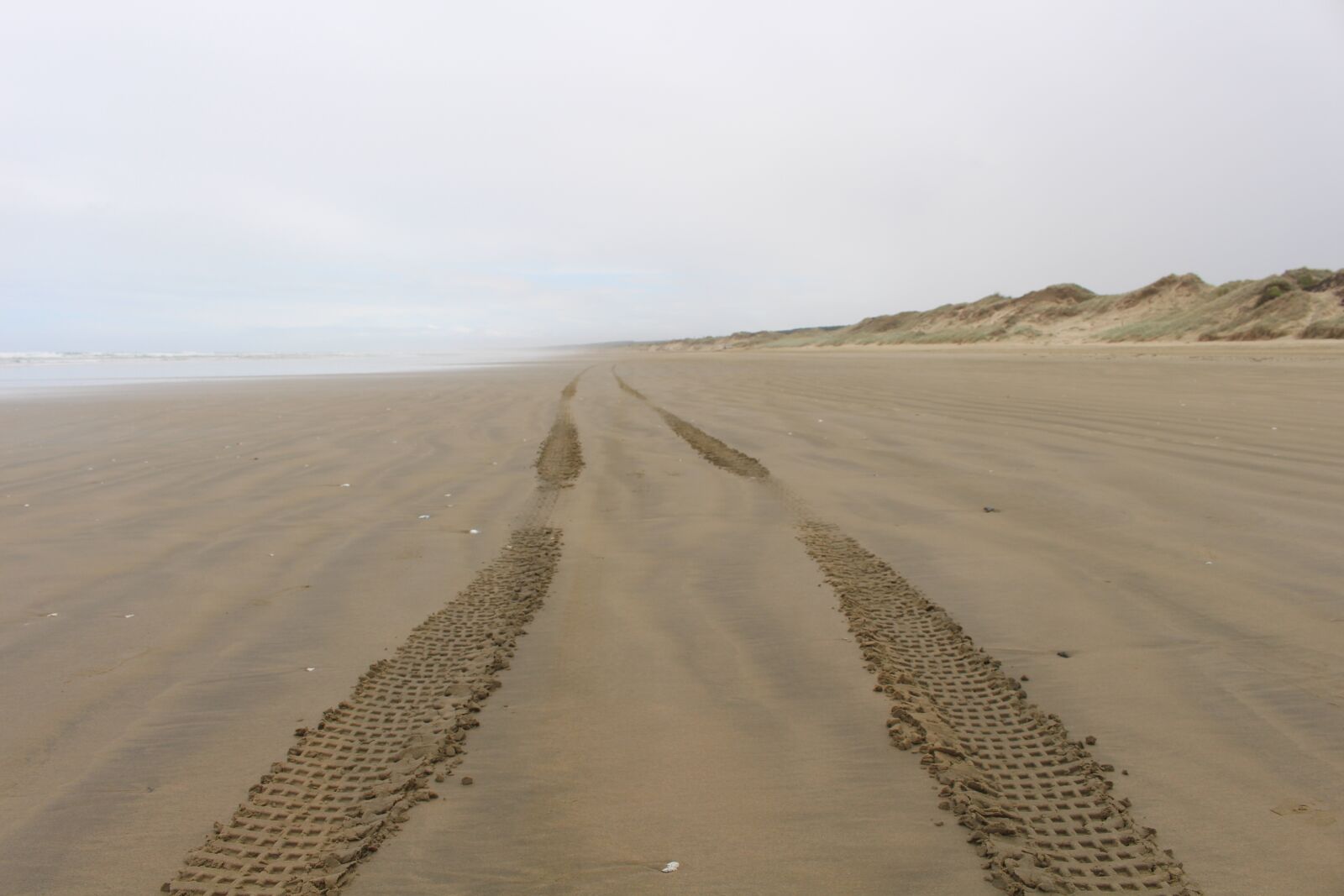 Canon EOS 700D (EOS Rebel T5i / EOS Kiss X7i) sample photo. Ninety mile beach, new photography