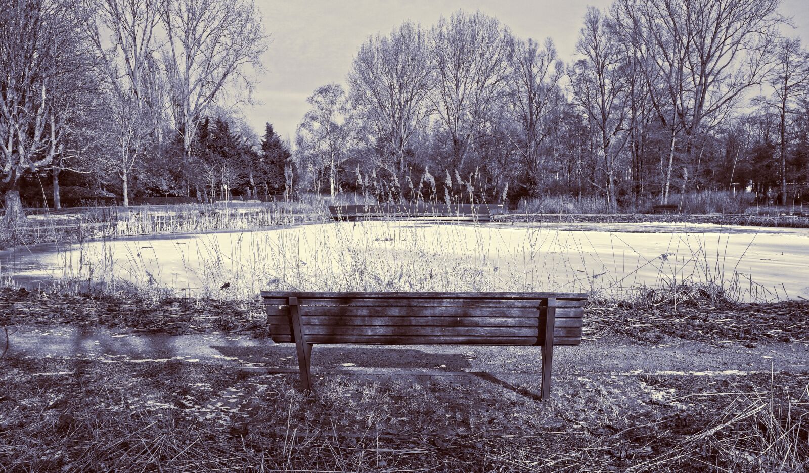 Sony Cyber-shot DSC-RX100 sample photo. Wooden bench, park bench photography