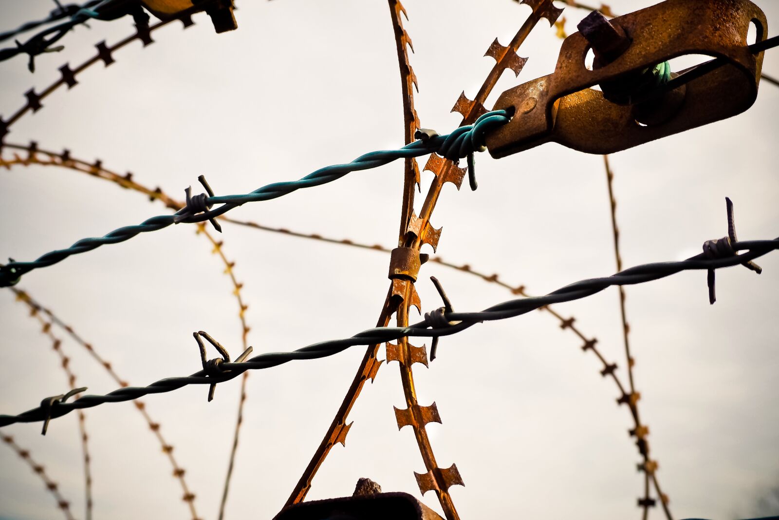 Olympus OM-D E-M10 sample photo. Barbed wire, natodraht, secure photography