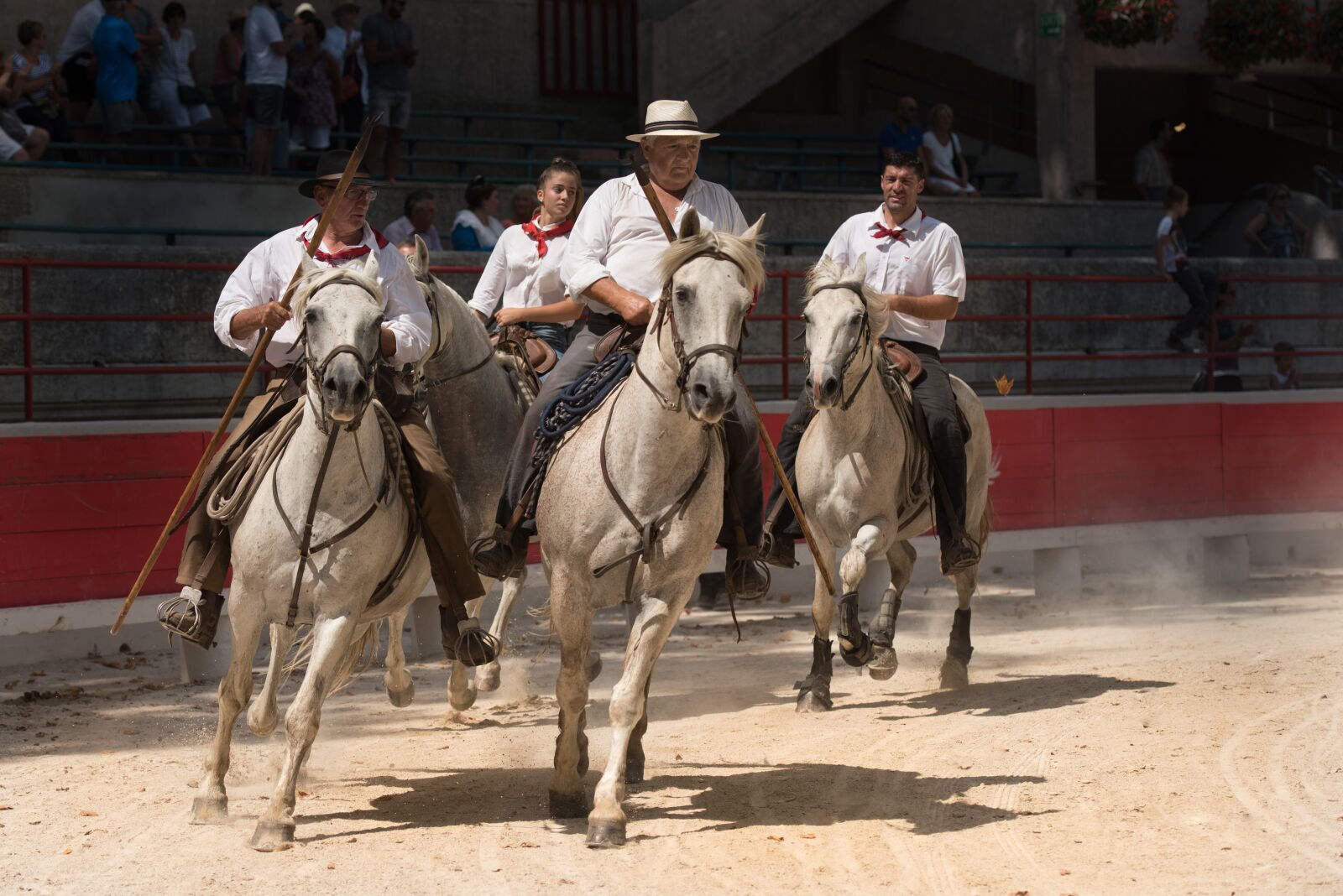 Nikon D750 sample photo. Gardians, horses, horse photography