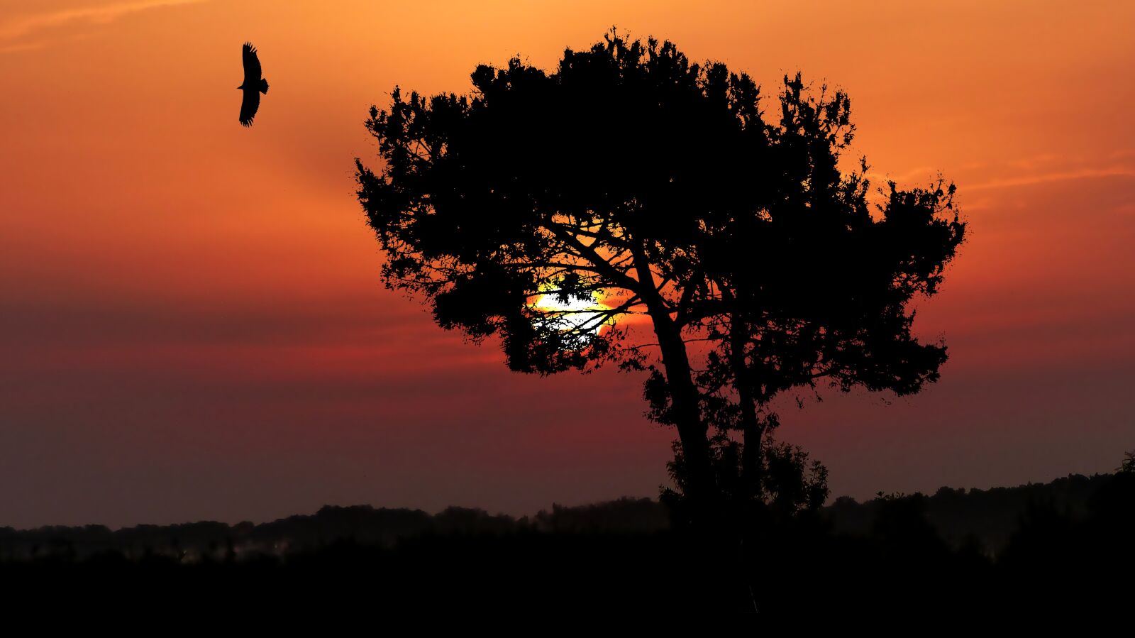Panasonic Lumix DMC-FZ200 sample photo. Sunset, nature, landscape photography