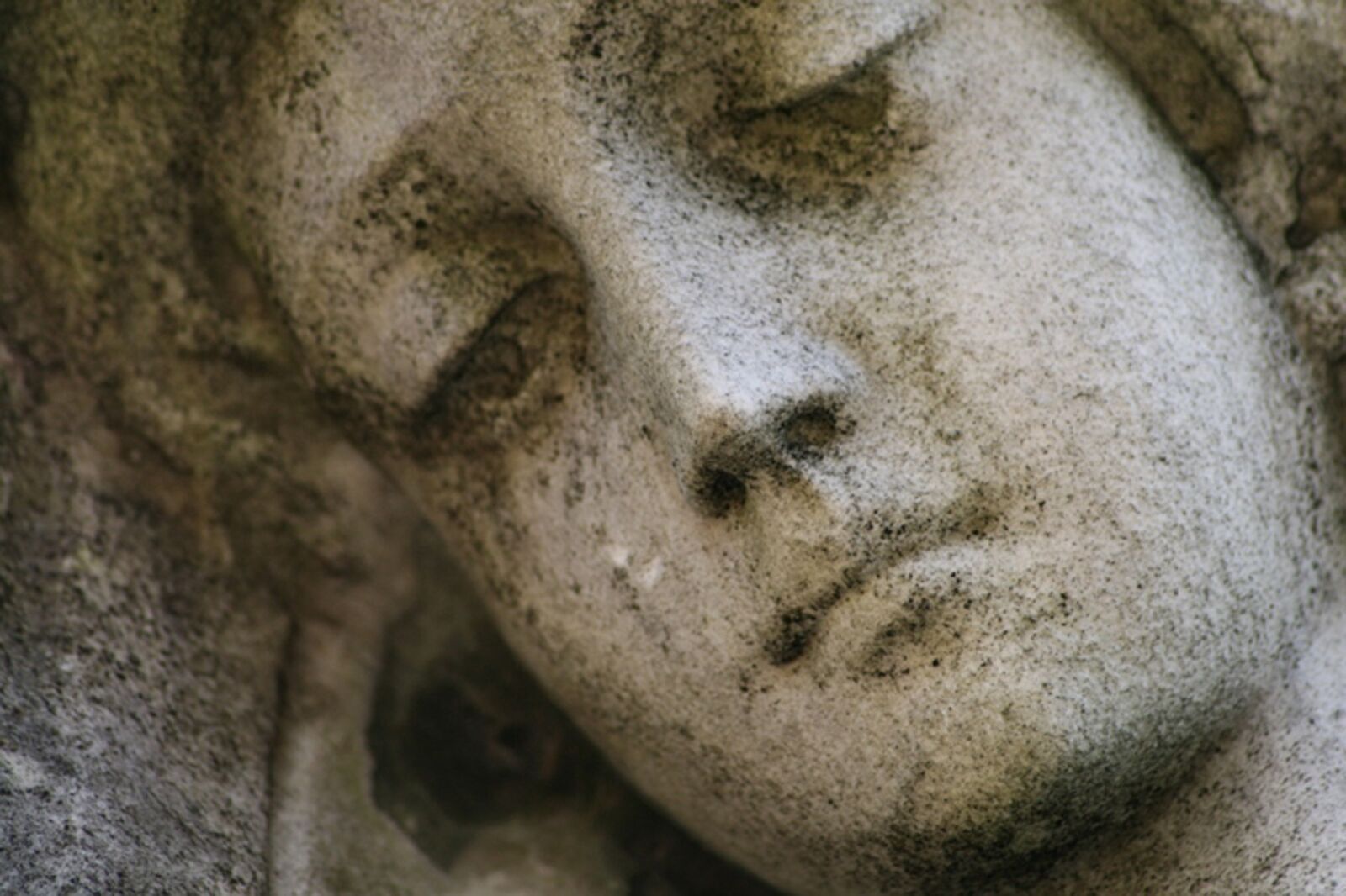 Canon EOS 400D (EOS Digital Rebel XTi / EOS Kiss Digital X) sample photo. Angel, statue, cemetery photography