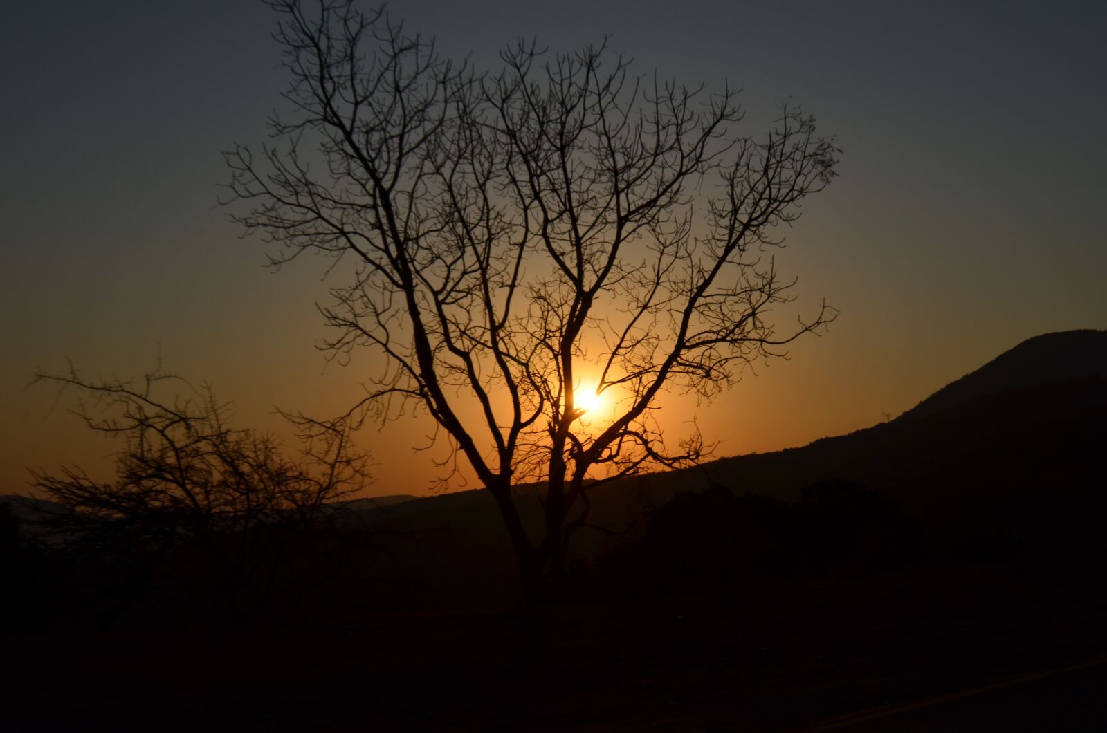 Nikon D5100 sample photo. Tree, sunset, sky photography