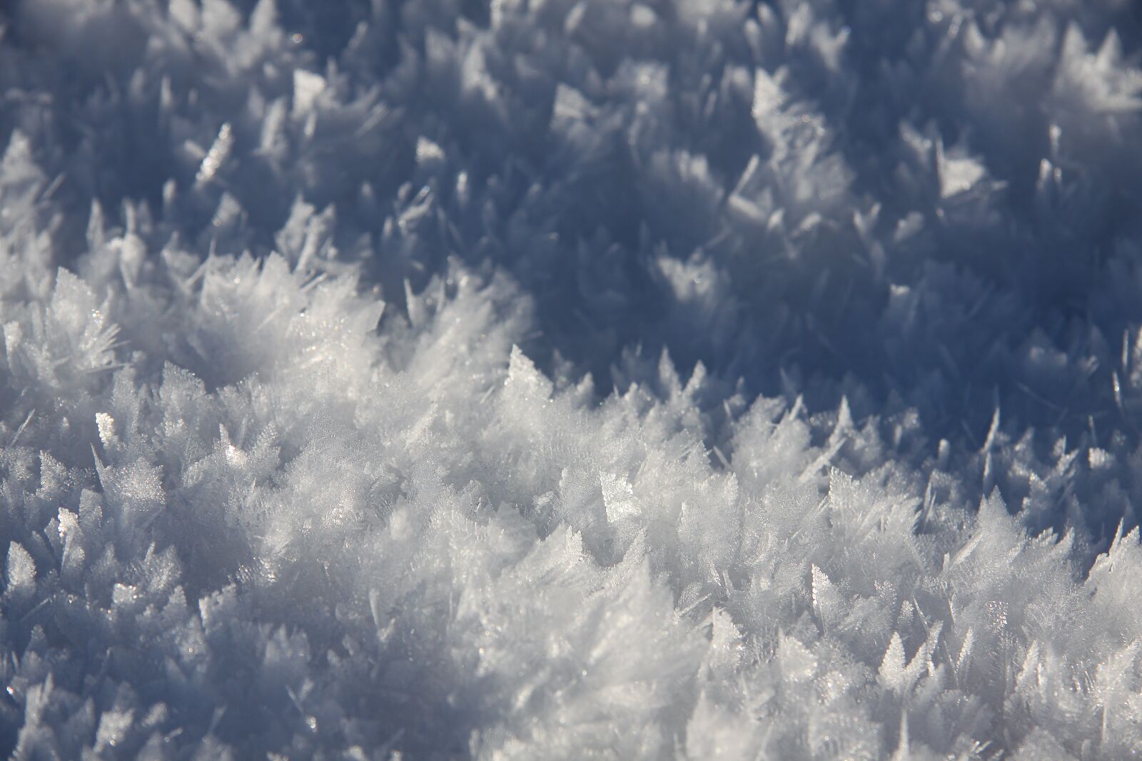 Canon EOS 50D sample photo. Eiskristalle, snow, white photography