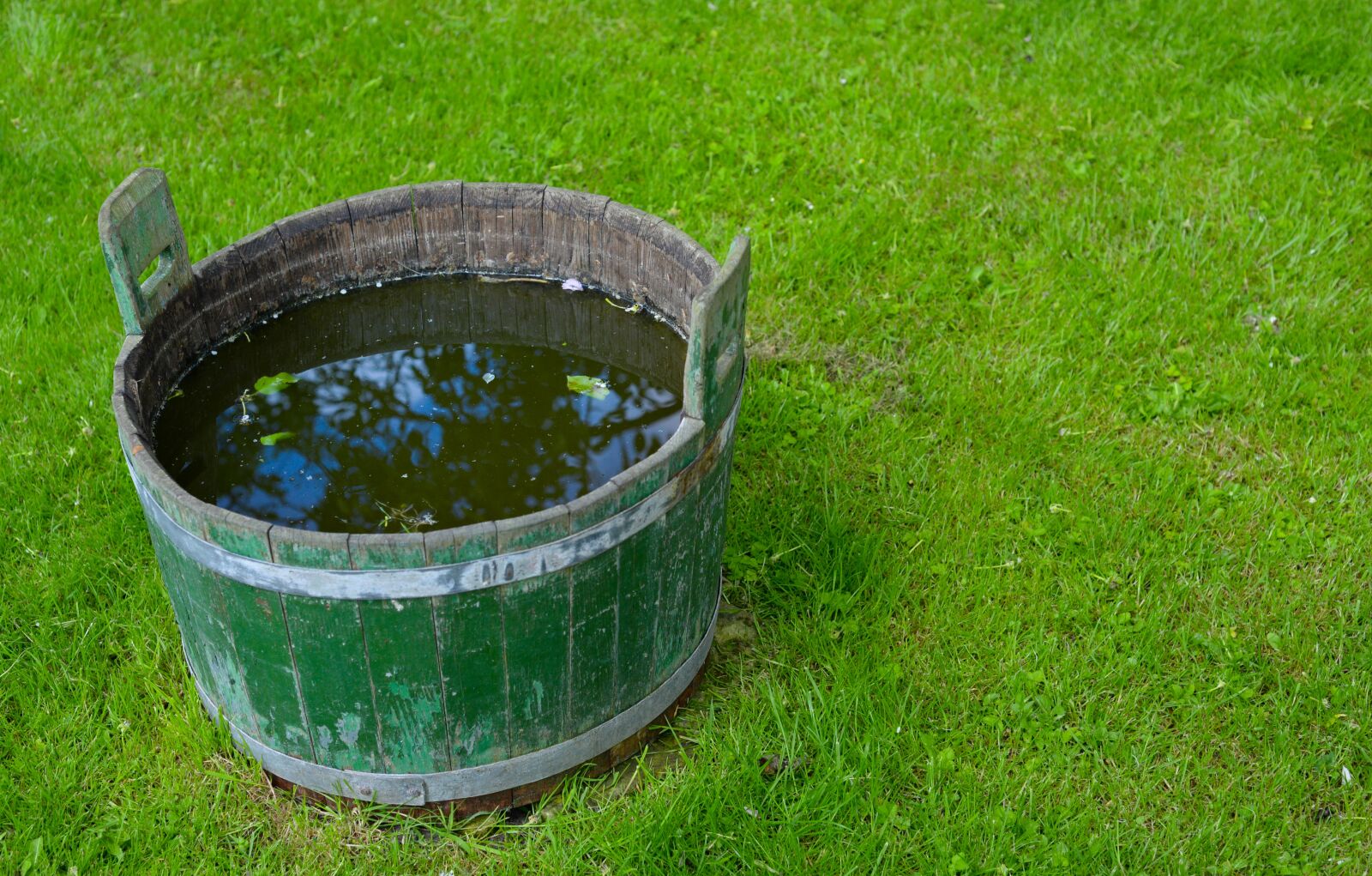 Nikon D610 sample photo. Bucket, water, green photography