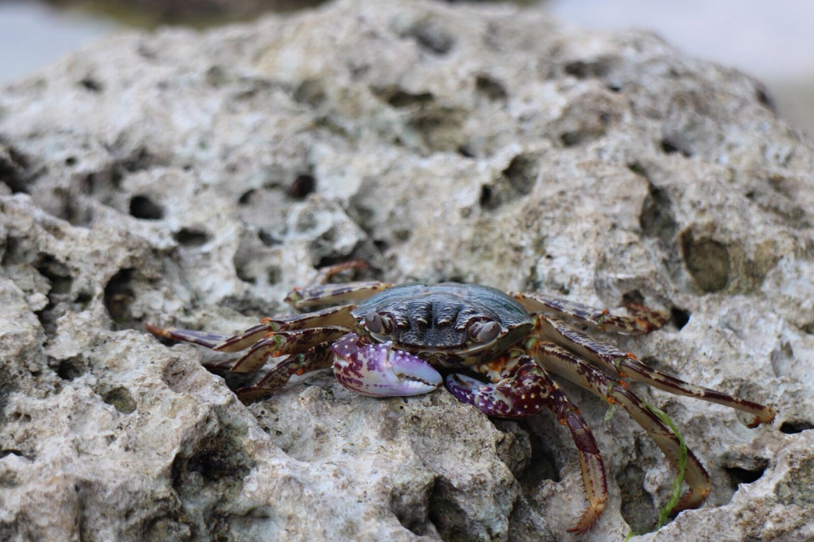 Canon EOS M2 sample photo. Sand beach, the scenery photography