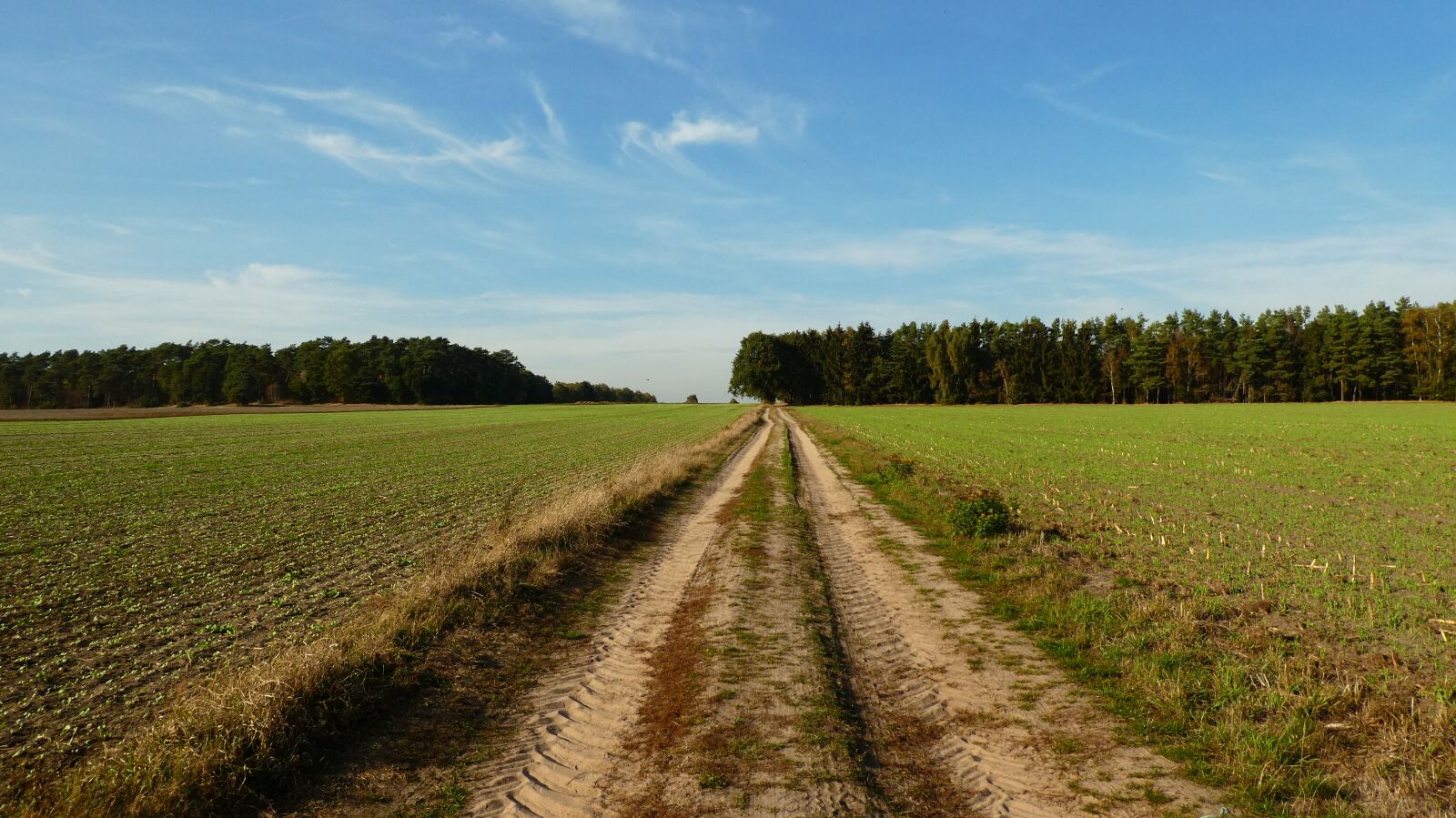 Panasonic DMC-TZ81 sample photo. Lane, nature, landscape photography