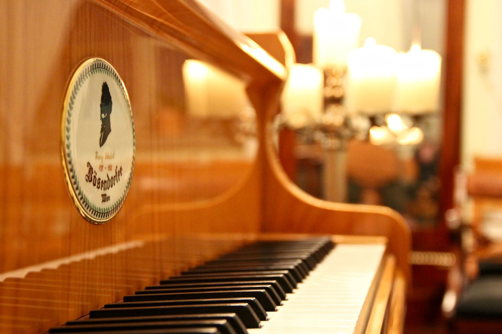 Canon EOS 600D (Rebel EOS T3i / EOS Kiss X5) sample photo. Piano, wing, music photography