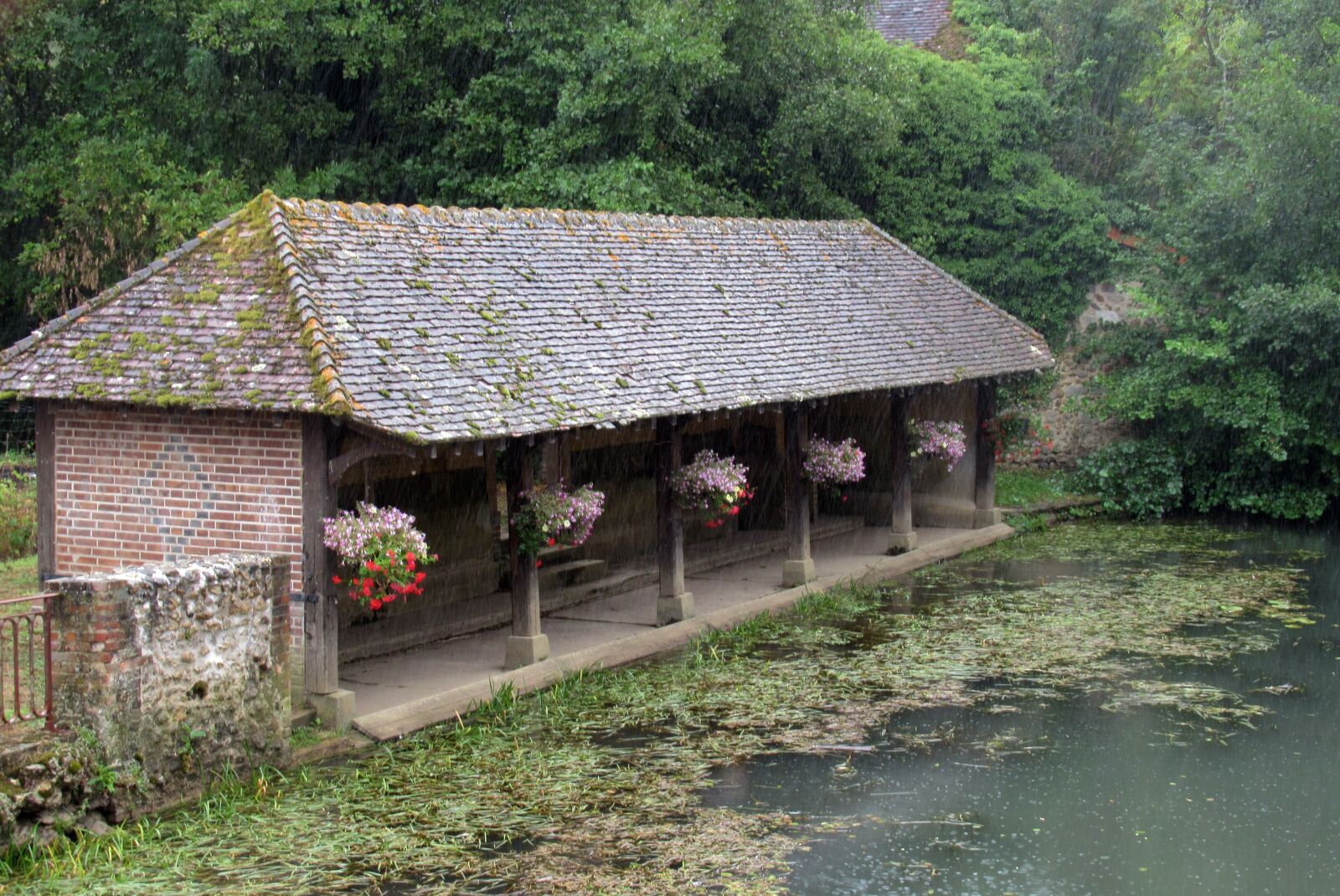 Canon PowerShot SX620 HS sample photo. Wash, river, field photography