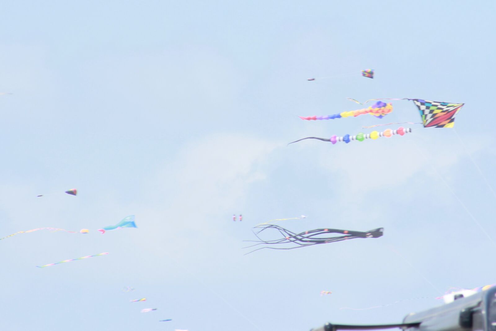 Canon EOS 60D sample photo. Kites, rainbow, sky photography