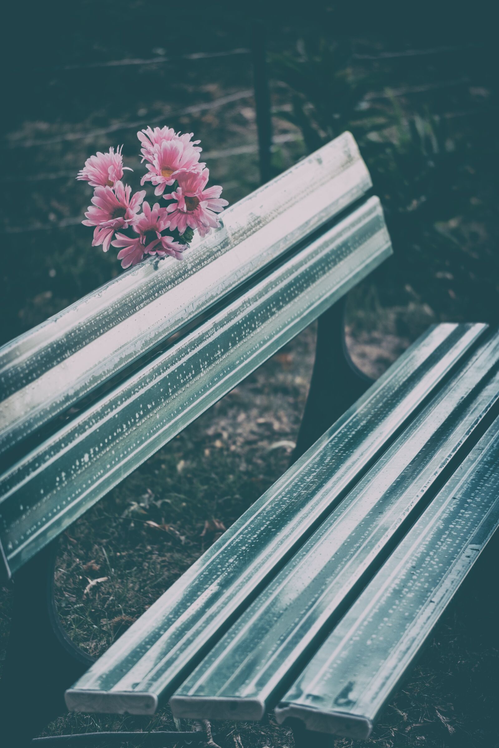 Fujifilm X-T2 + Fujifilm XF 80mm F2.8 R LM OIS WR Macro sample photo. Bank, bench, seat photography