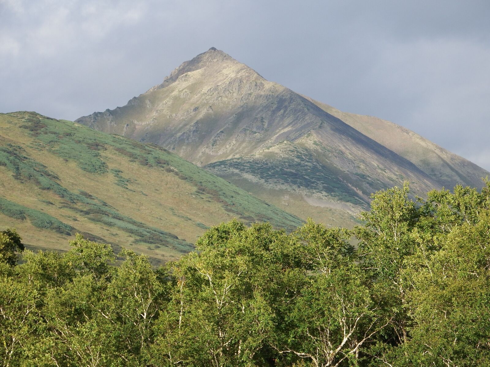 Fujifilm FinePix S1 sample photo. Mountains, evening, summer landscape photography