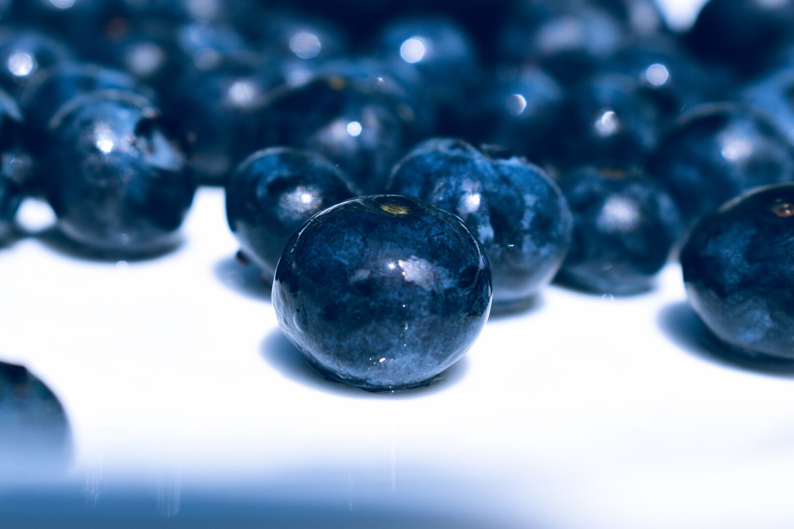 Nikon D5600 sample photo. Blueberries, fresh, fruit photography