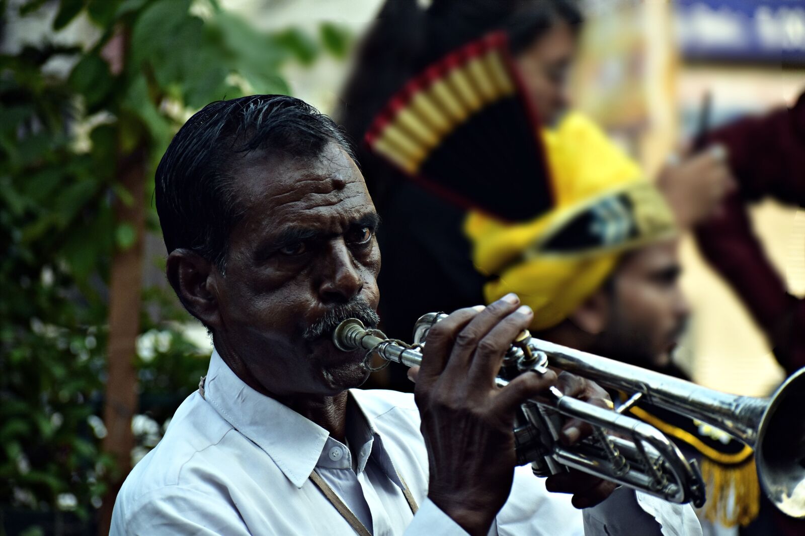Nikon D5600 sample photo. Band musician, band-walla, music photography