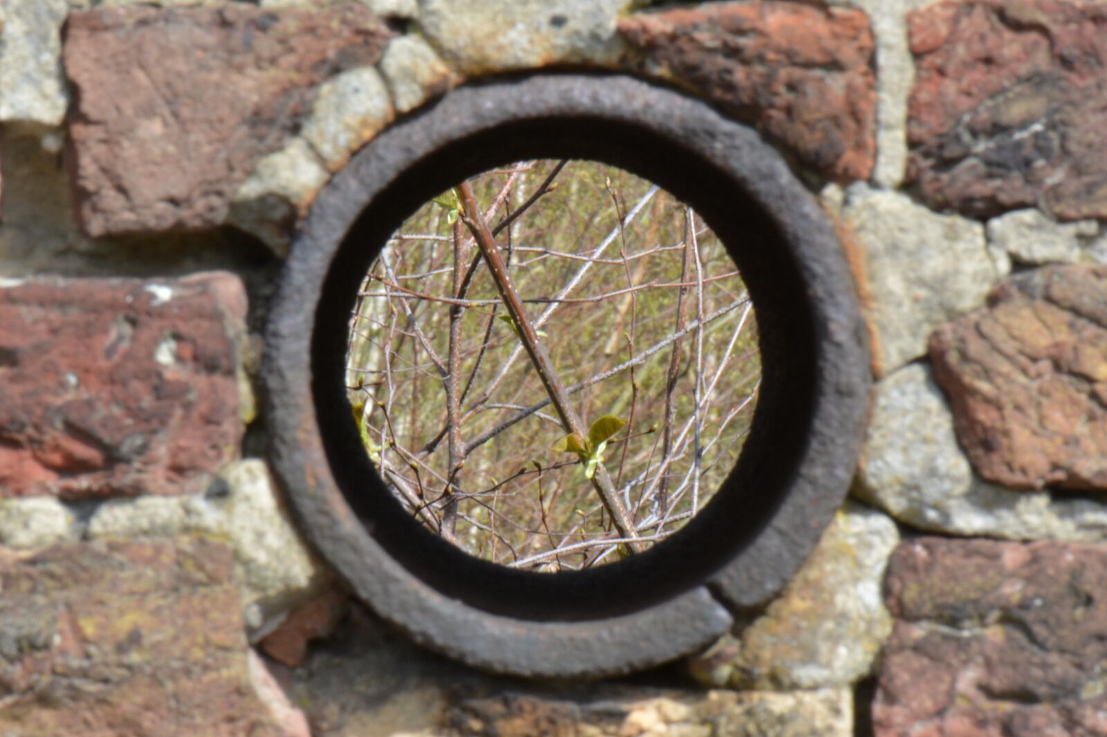 Nikon D5200 sample photo. Wall, bricks, opening photography