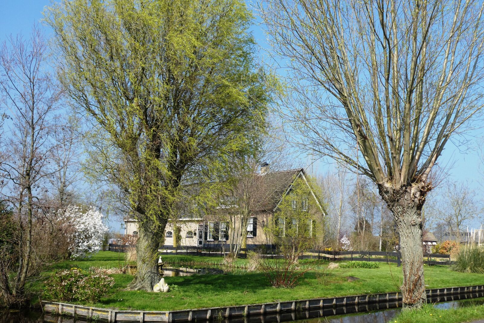 Panasonic Lumix DC-ZS70 (Lumix DC-TZ90) sample photo. Farm, polder, spring photography