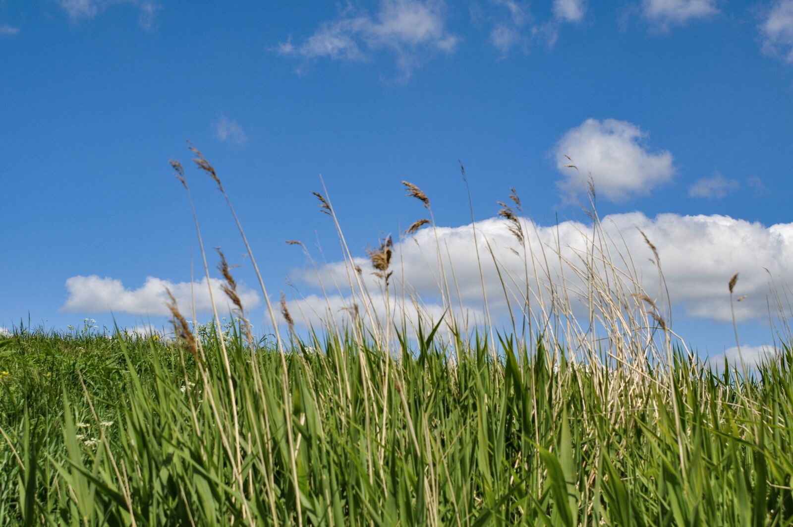 Nikon D90 sample photo. Clouds, sky, nature photography