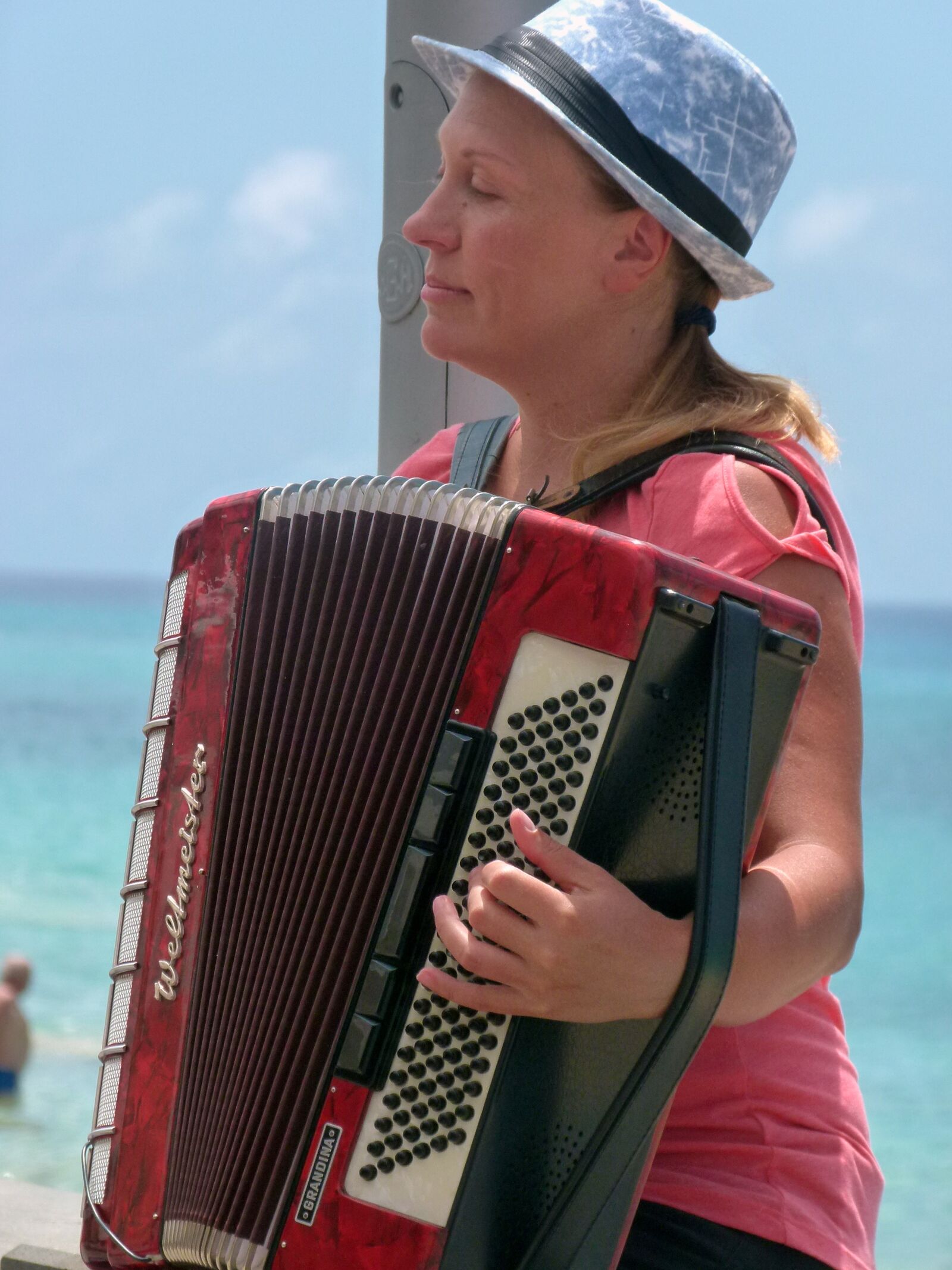 Panasonic Lumix DMC-FZ100 sample photo. Hand-harmonica, music, accordion photography