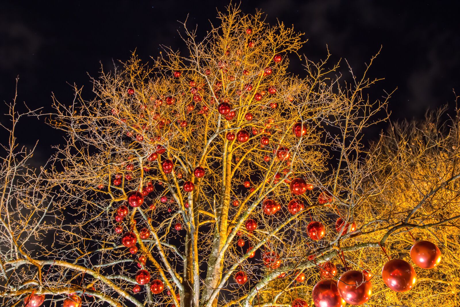 Canon EOS 60D sample photo. Christmas images, christmas ornament photography