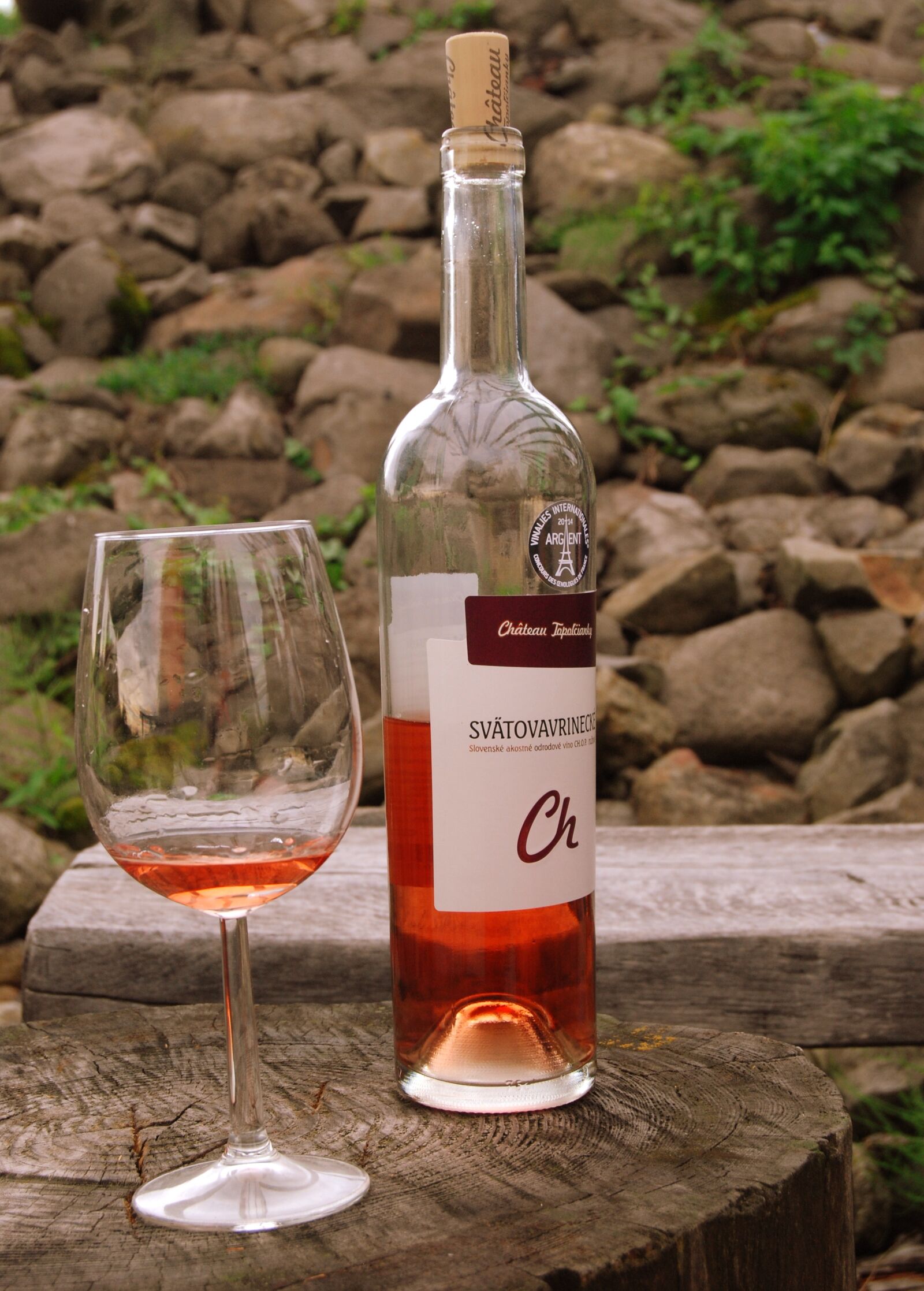 Nikon D40X sample photo. Wine, beverage, picnic photography