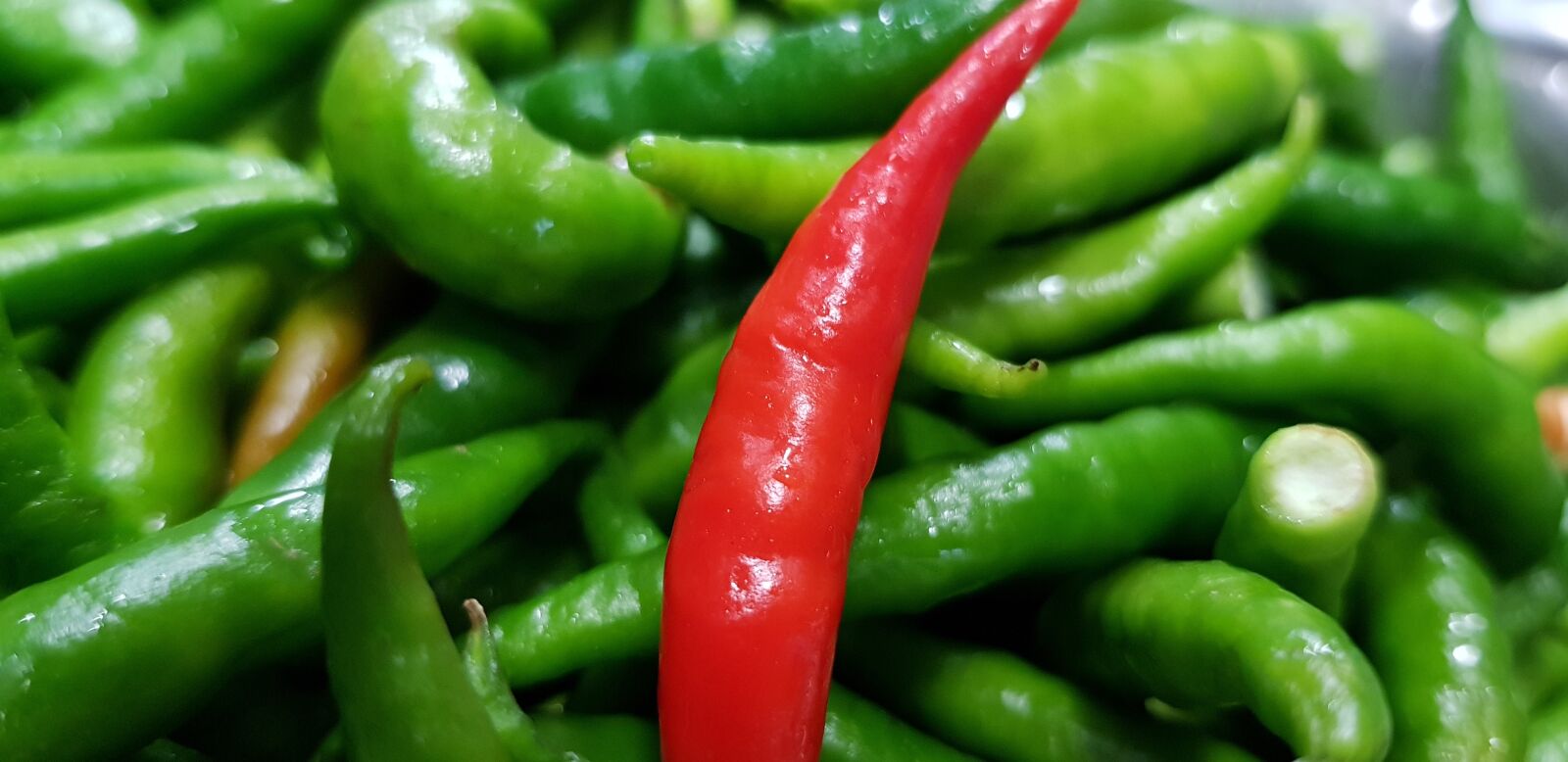 Samsung Galaxy S8 sample photo. Vegetable, food, pod photography