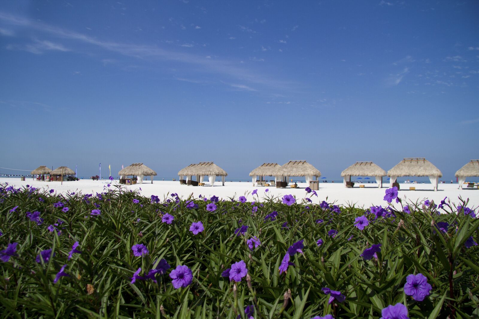 Canon EF-S 17-85mm F4-5.6 IS USM sample photo. Marco island, florida, vacation photography