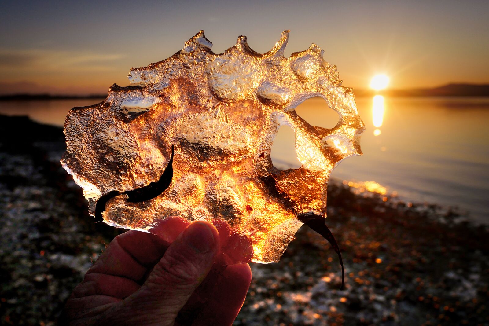 Panasonic Lumix DMC-GX8 sample photo. Ice, ice floe, winter photography
