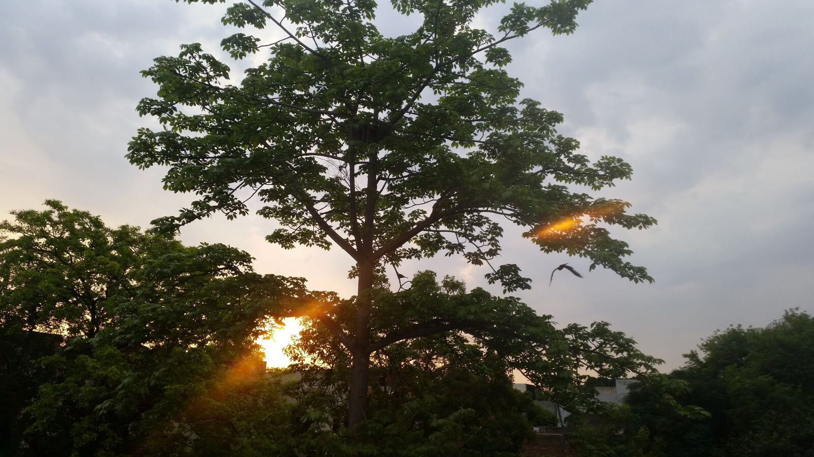 Samsung Galaxy S5 sample photo. Pakistan, lahore, sunrise photography