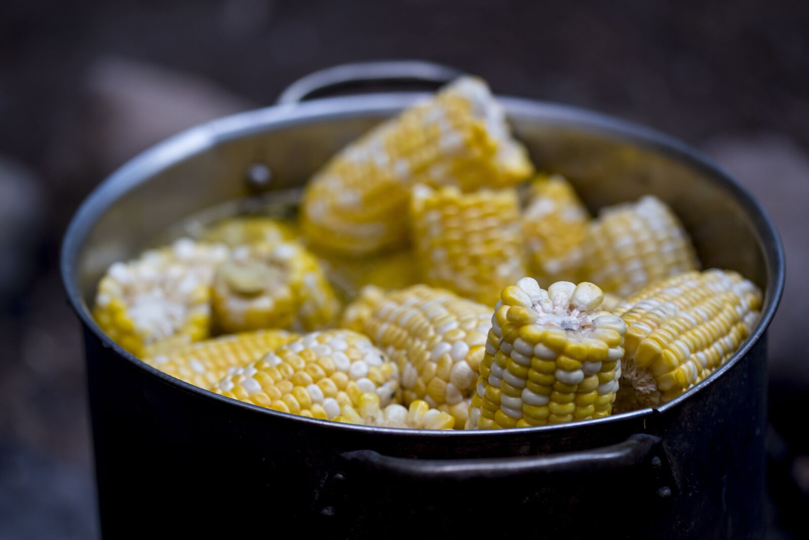 Nikon D810 sample photo. Corn, boiled, yellow photography