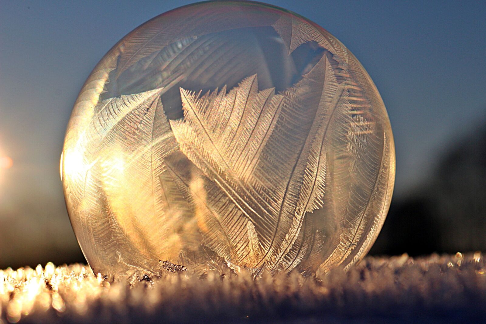 Canon EOS 100D (EOS Rebel SL1 / EOS Kiss X7) sample photo. Ice crystal, soap bubble photography