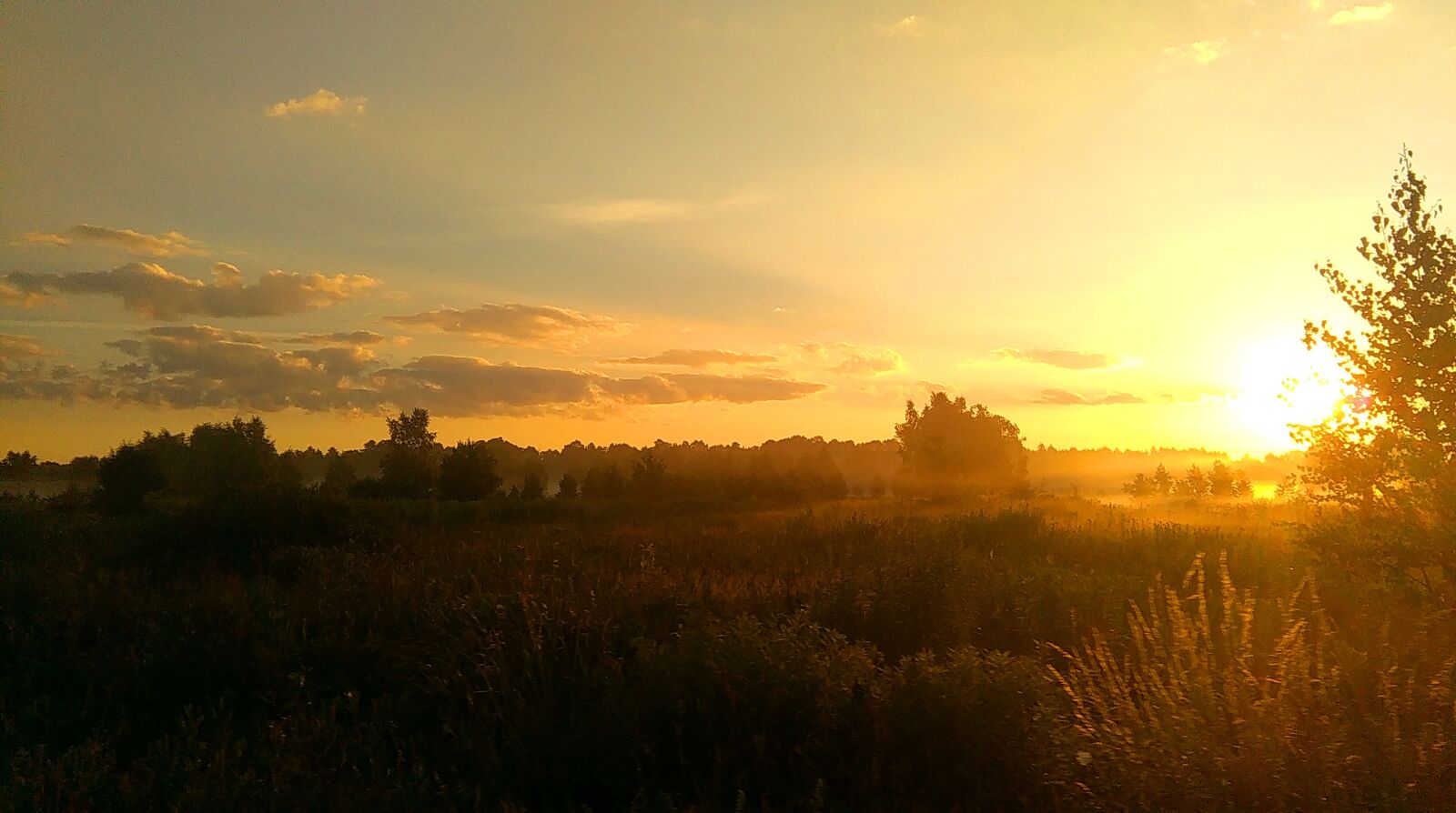 HTC DESIRE 620 sample photo. Field, night, sun, sunrise photography