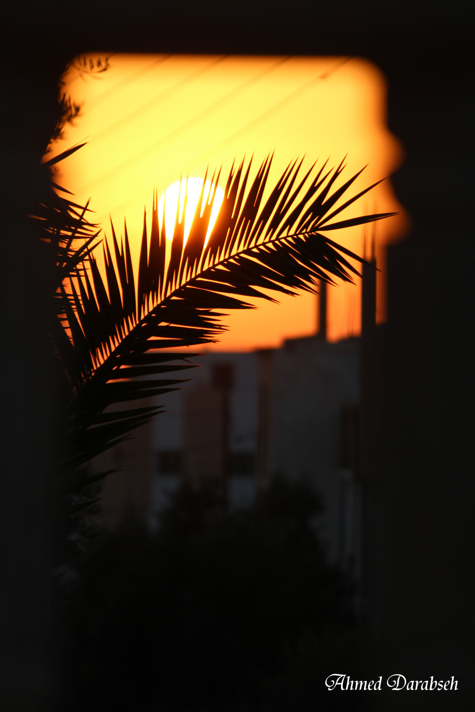 Canon EOS 1200D (EOS Rebel T5 / EOS Kiss X70 / EOS Hi) sample photo. Jordan, sunset photography