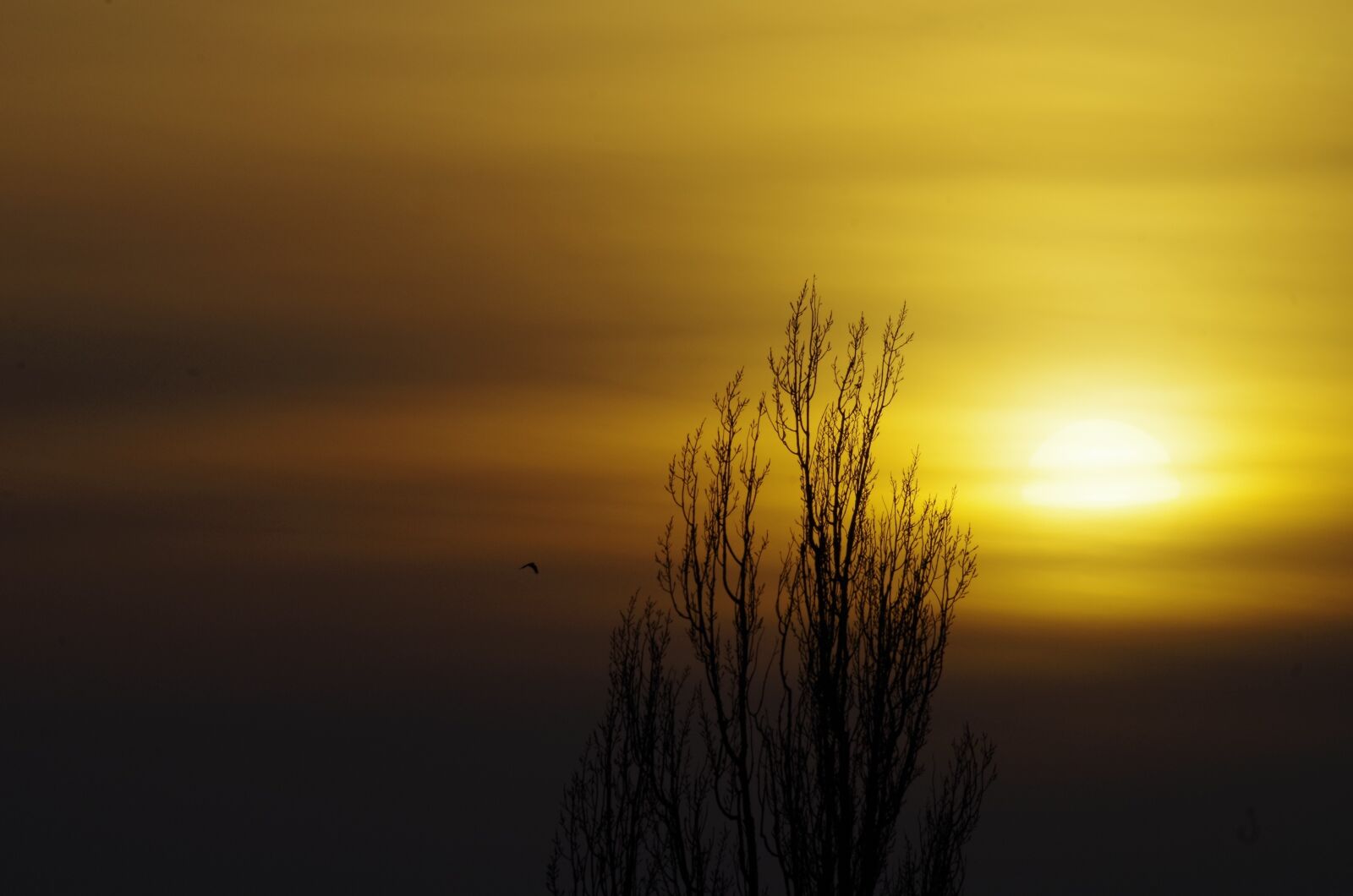 Pentax K-30 sample photo. Sky, sunset, evening photography