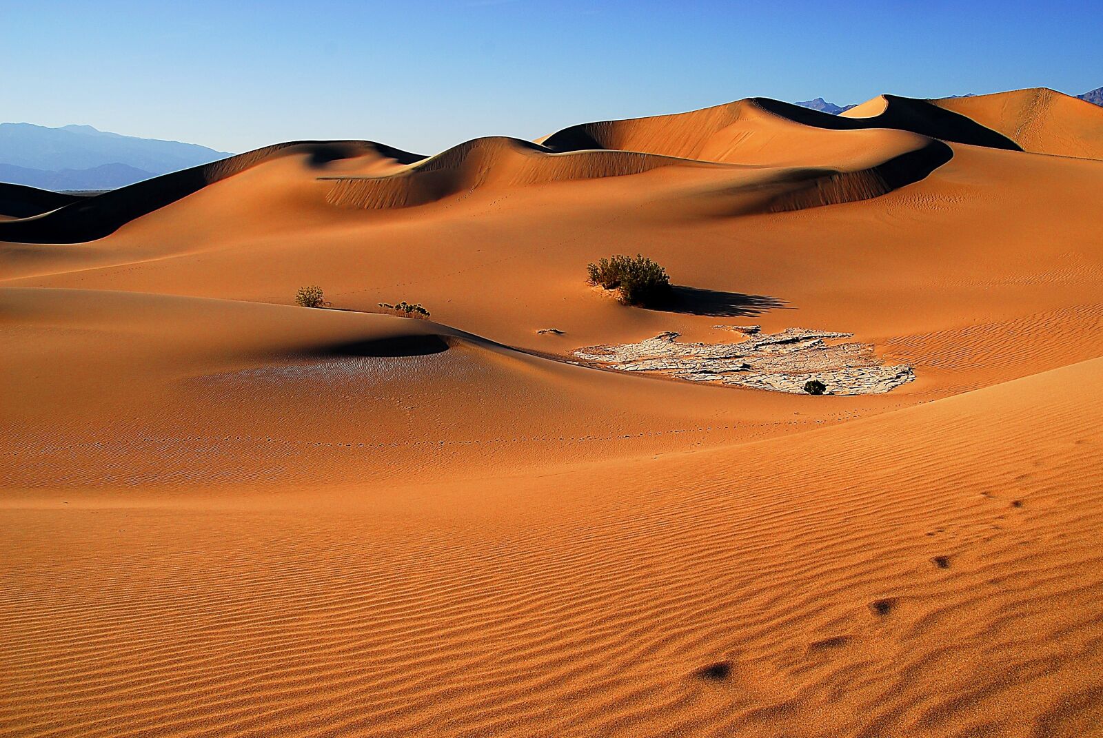 Nikon D200 sample photo. Death valley, sand, nature photography