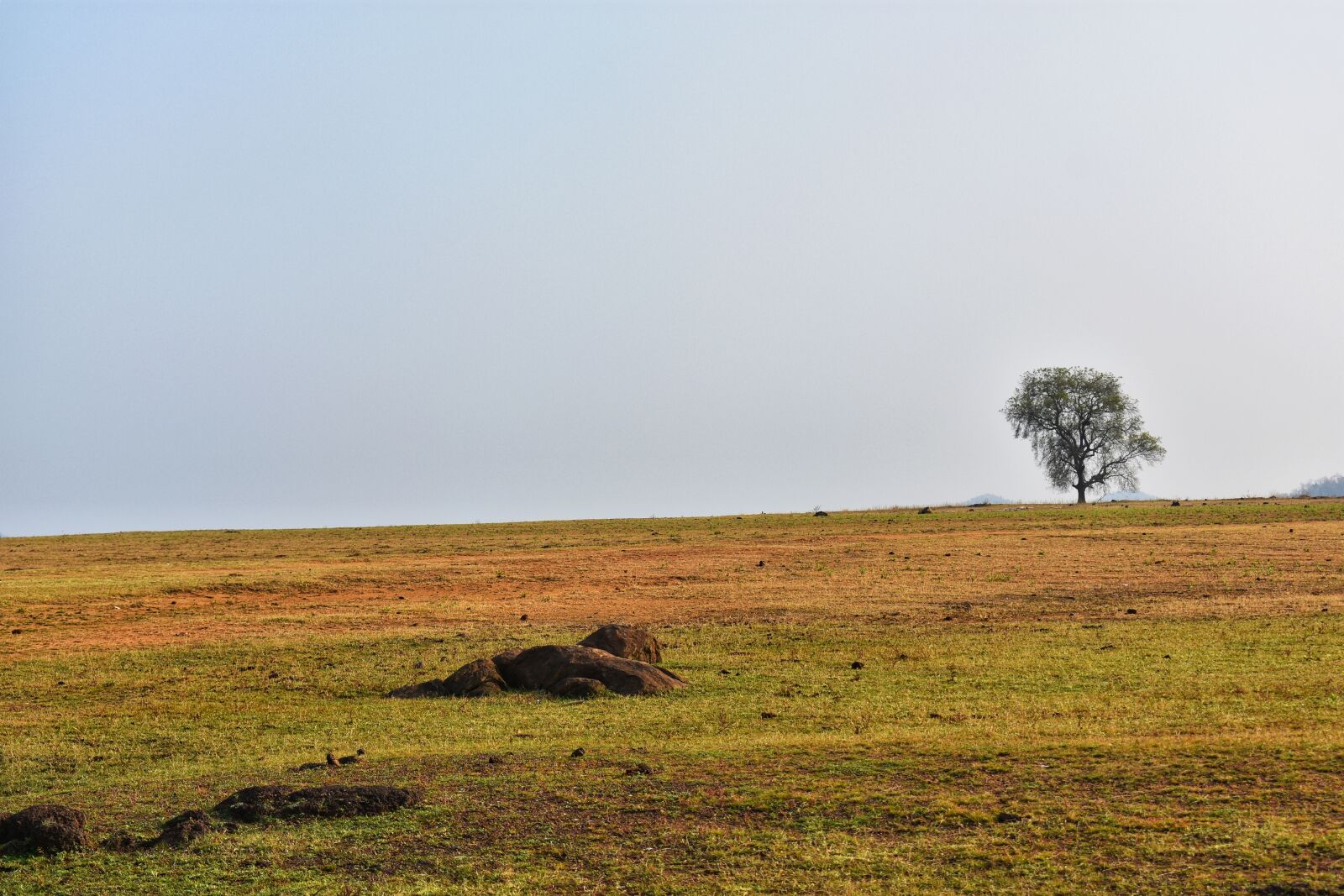 Nikon D3400 sample photo. Landscape, balod, chhattisgarh photography