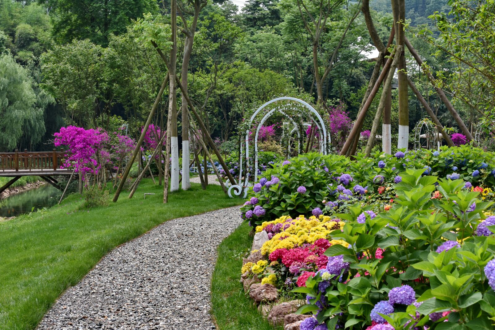 Nikon D7200 sample photo. Flowers, hydrangea, trail photography