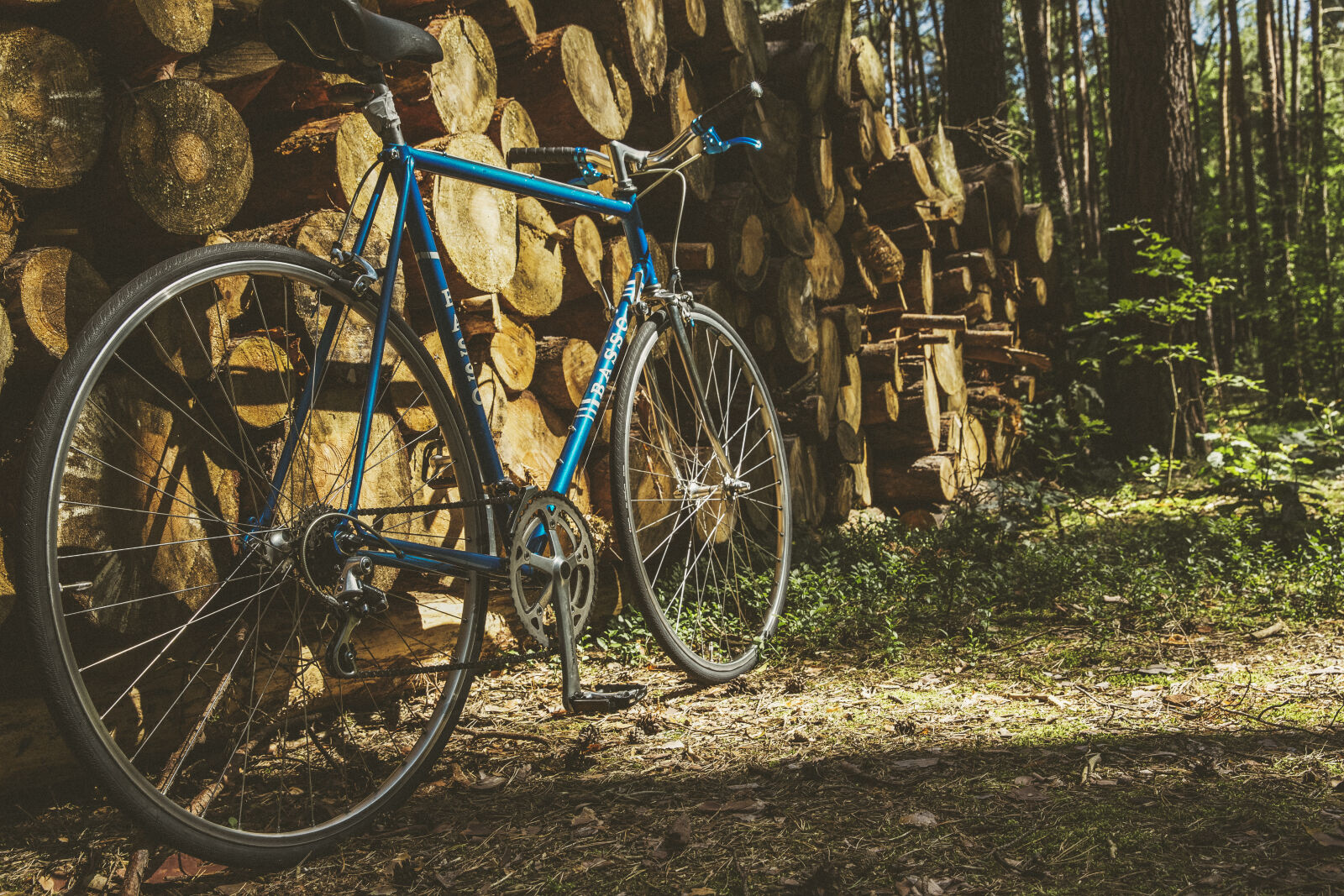 Canon EF 24-70mm F2.8L II USM sample photo. Wood, road, trees, vehicle photography