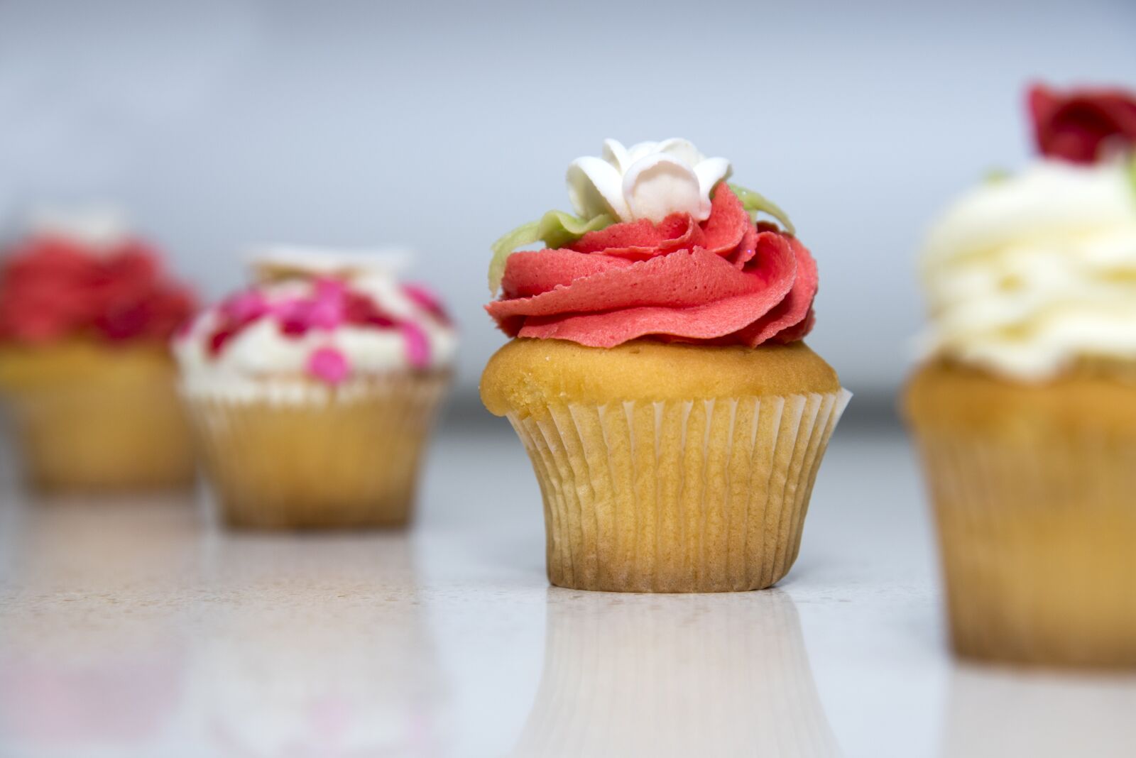 Nikon D750 sample photo. Food, cupcake, sweet photography