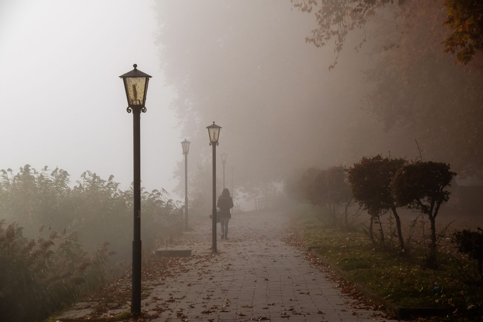 Nikon D5300 sample photo. Fog, woman, fantasy photography