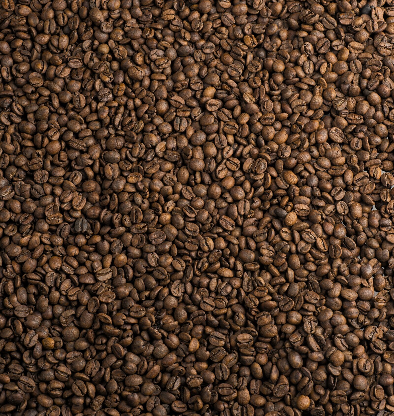 Nikon D610 sample photo. Coffee beans, coffee bean photography