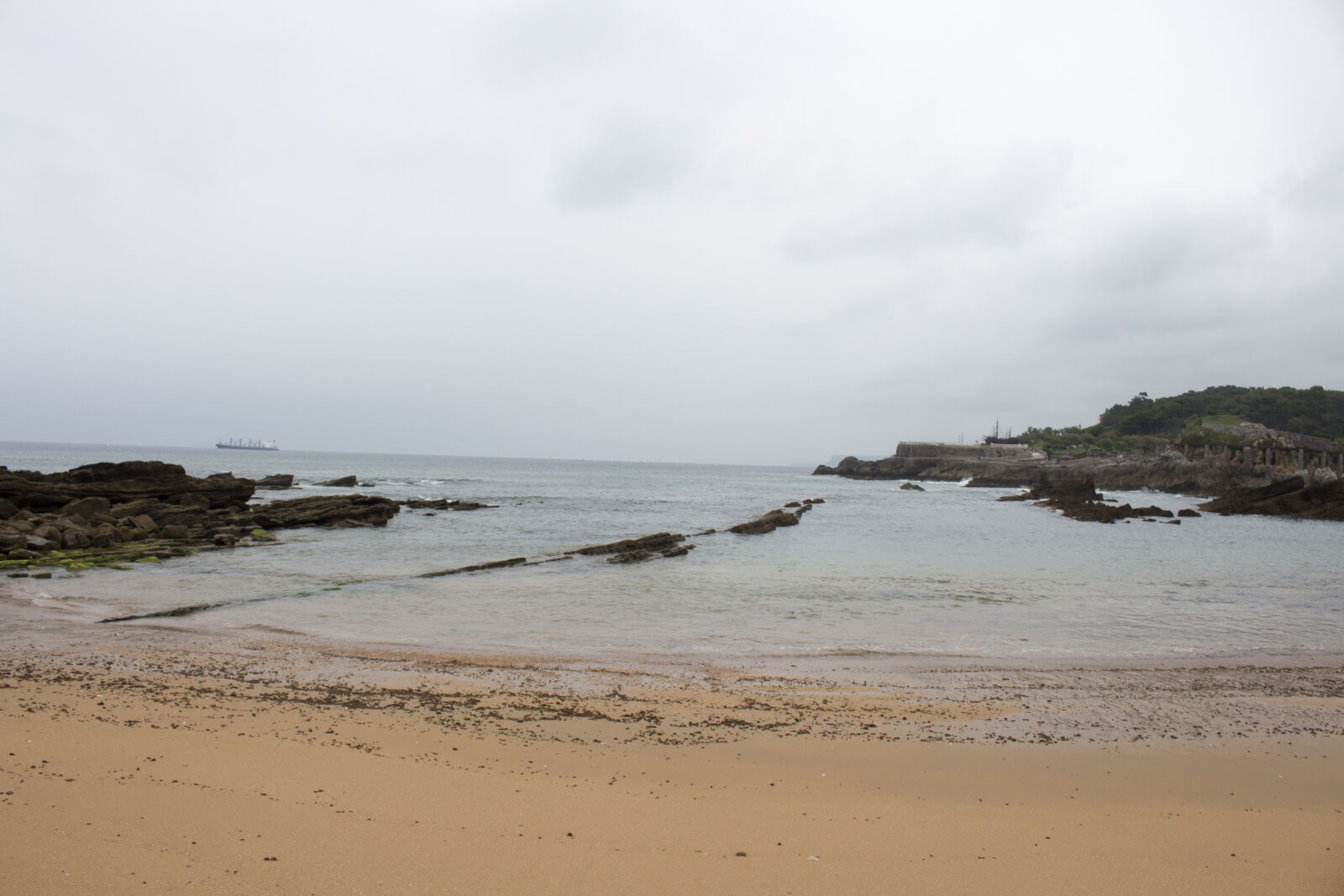 Canon EOS 700D (EOS Rebel T5i / EOS Kiss X7i) sample photo