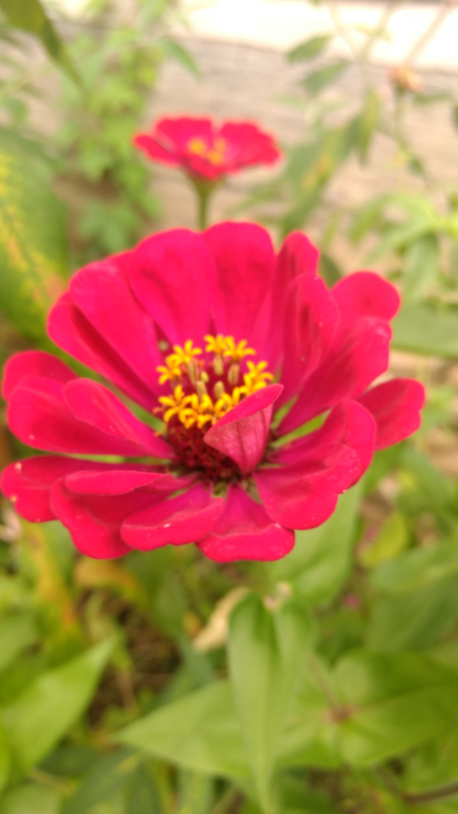 Motorola Moto G (4) sample photo