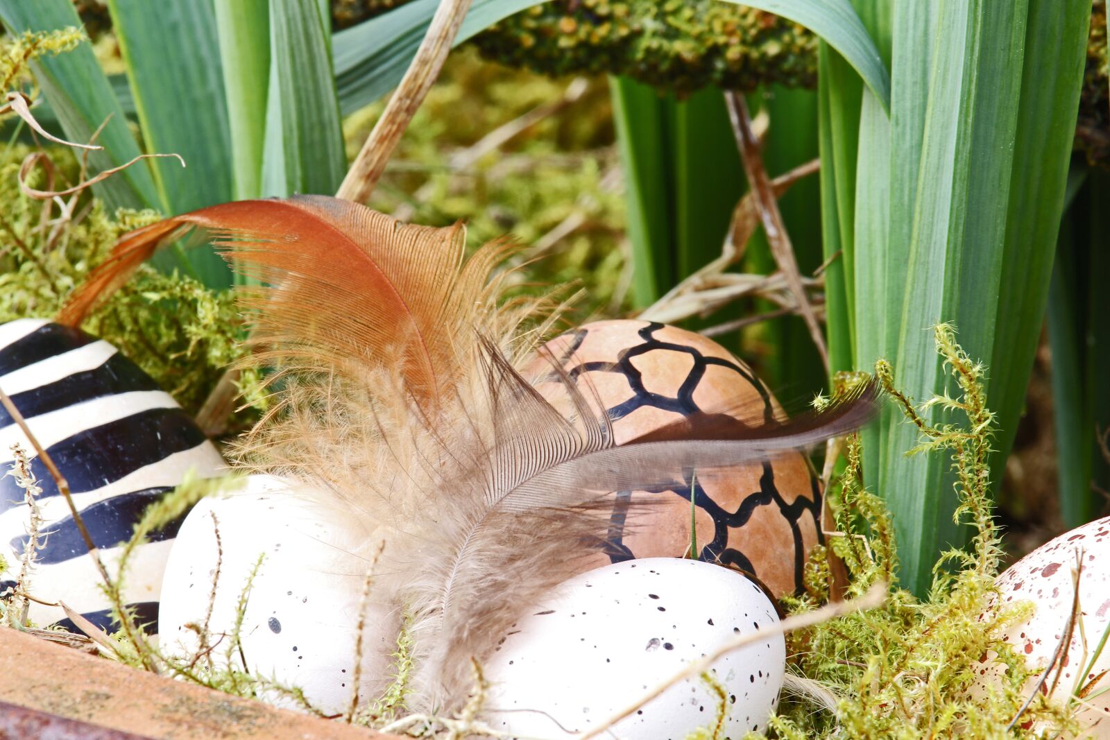 Canon EF-S 55-250mm F4-5.6 IS STM sample photo. Easter eggs, easter nest photography