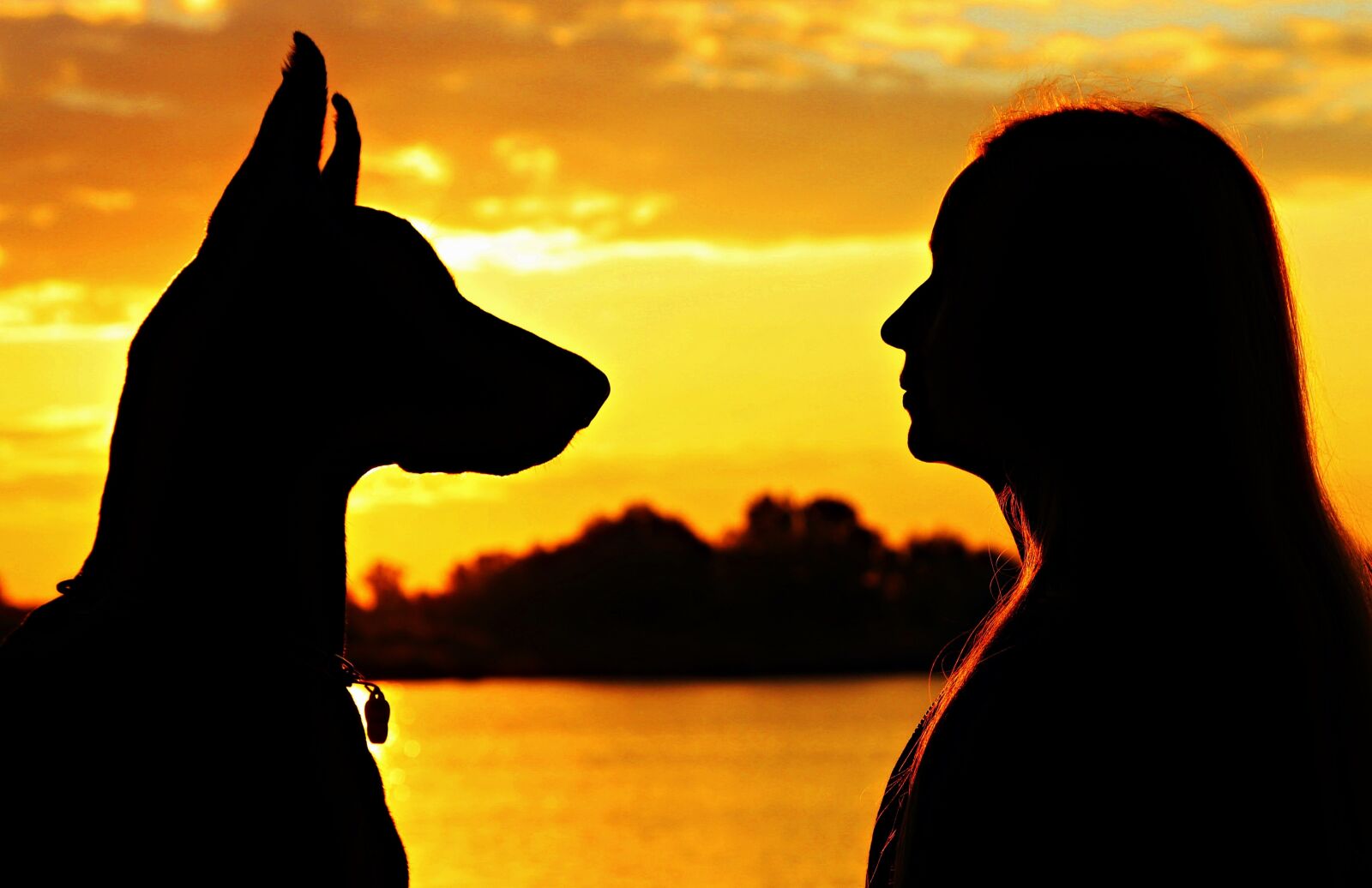 Canon EF 24-105mm F4L IS USM sample photo. Doberman, woman, silhouette photography