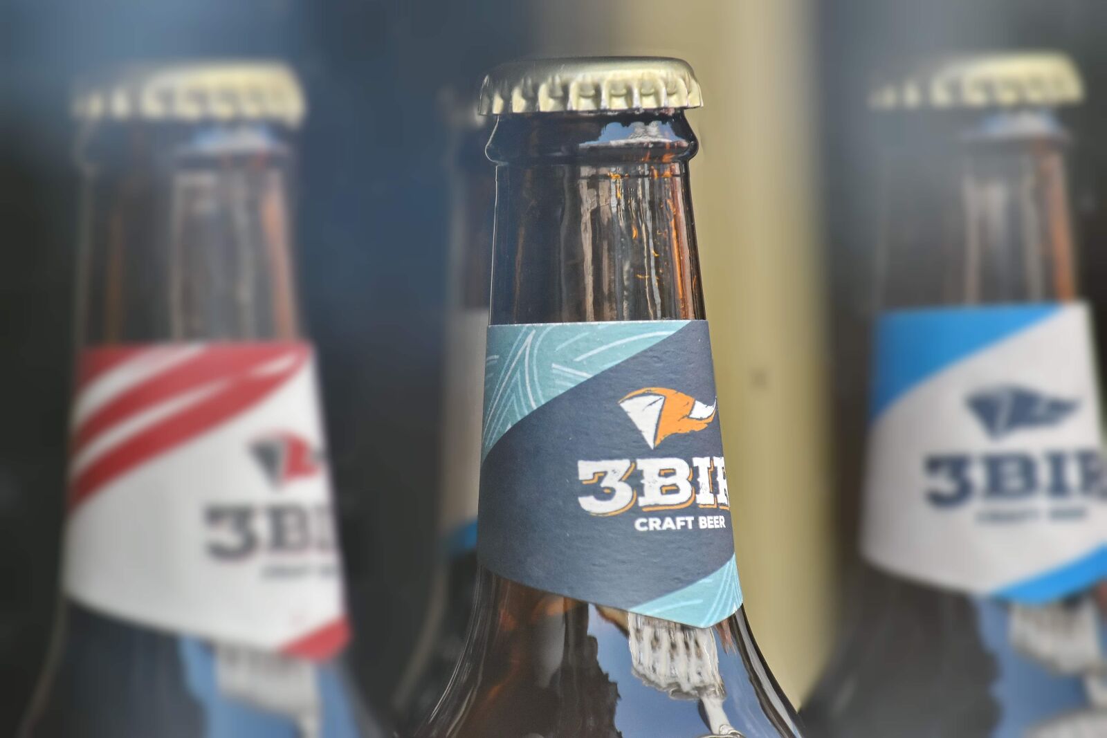 Nikon D5500 sample photo. Beer, bottle, craft, handmade photography
