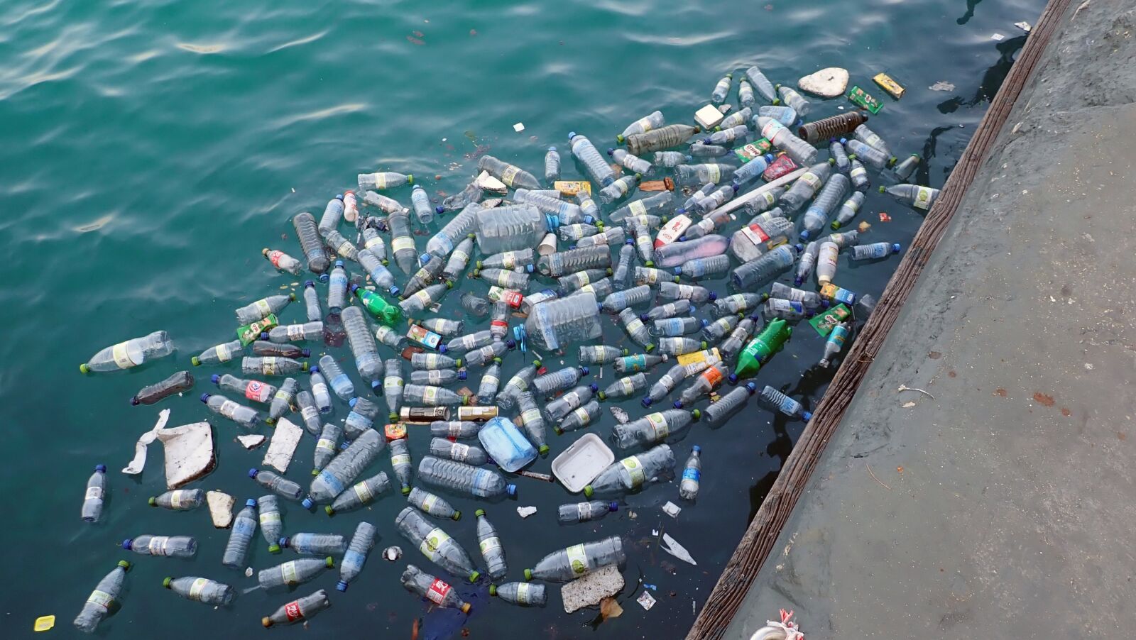 Olympus TG-5 sample photo. Plastic, contamination, garbage photography