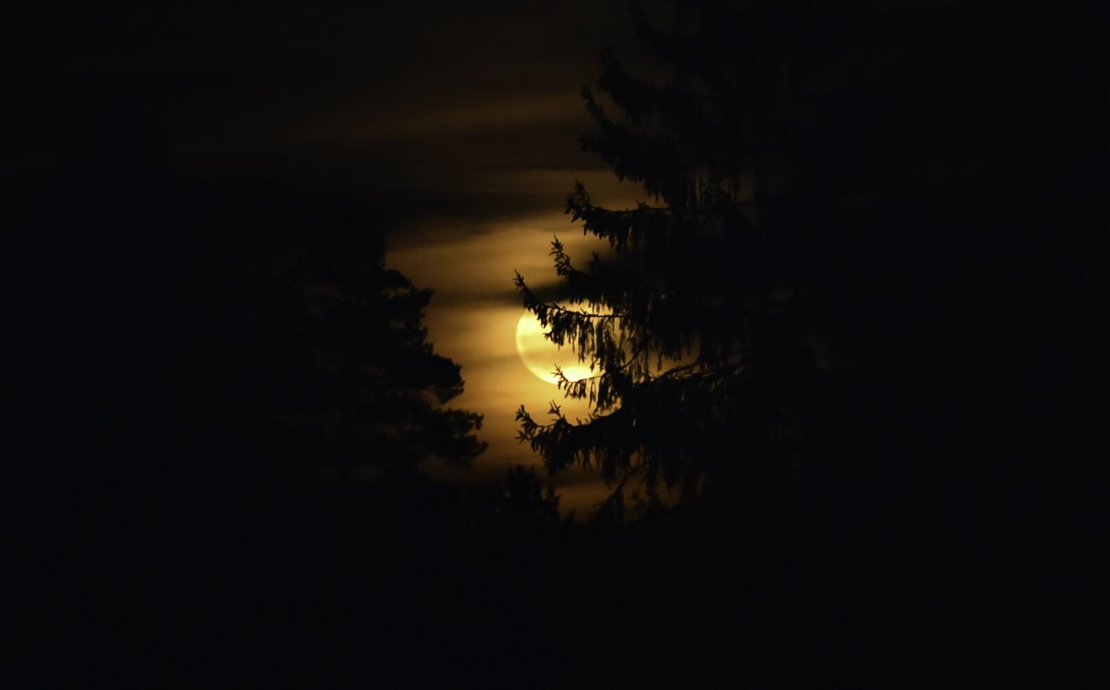 Nikon D750 sample photo. Full moon, night, moonlight photography