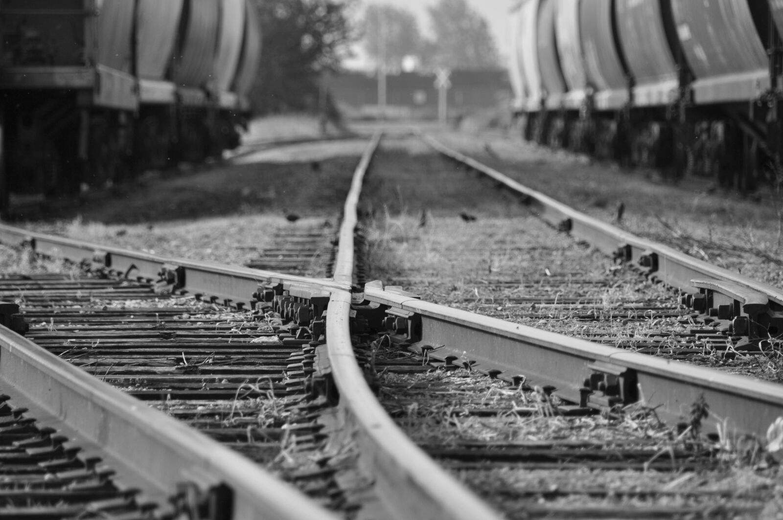 Nikon D90 sample photo. Train, rail, track photography