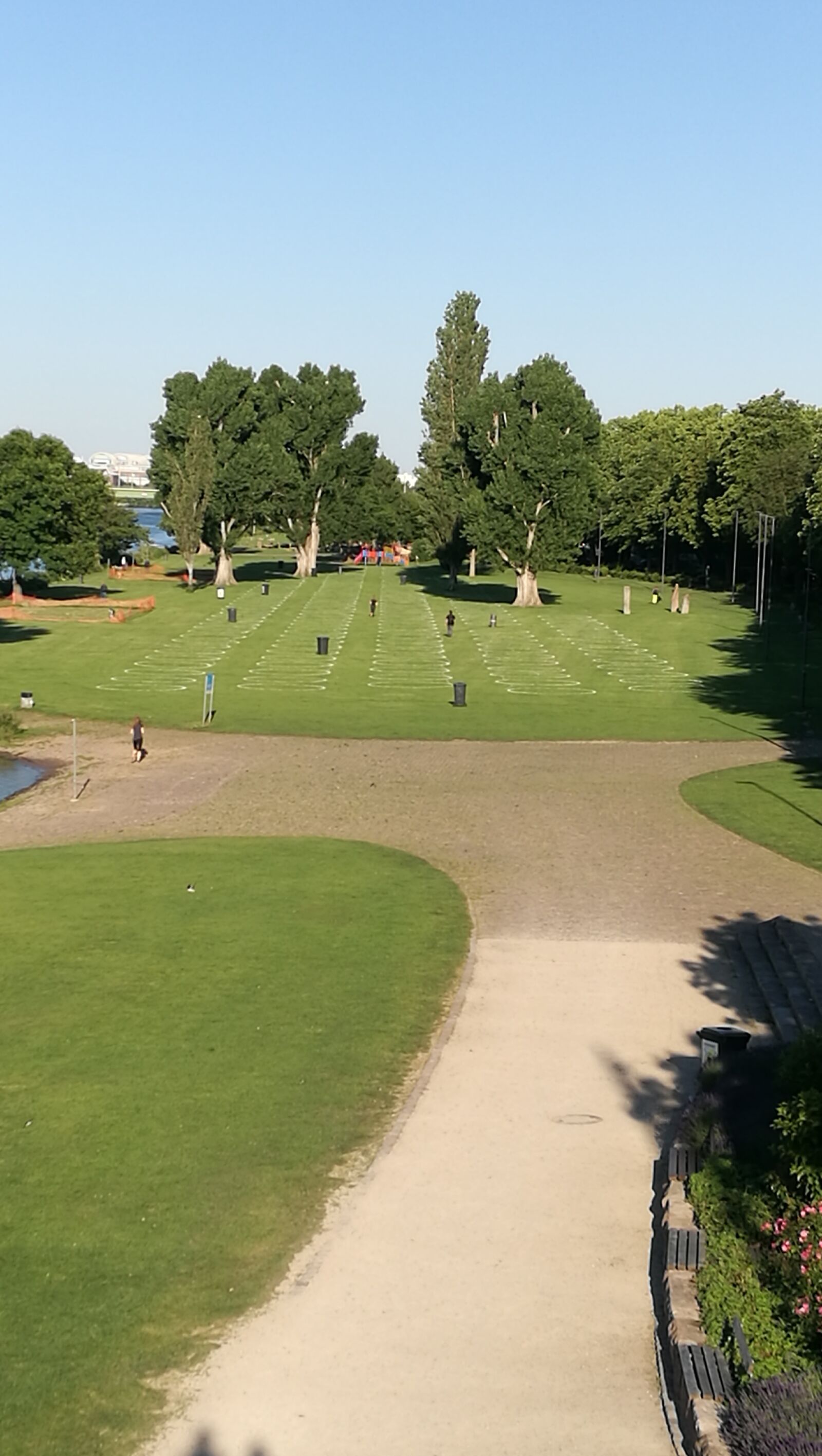 HUAWEI P9 sample photo. Social distance, heidelberg, park photography