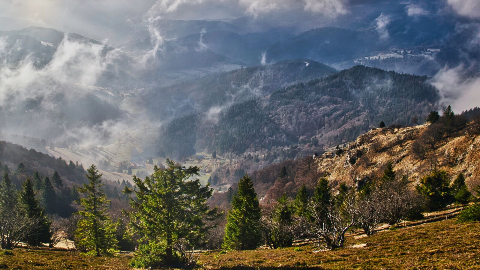 Nikon D5300 sample photo. Morning mist, fog, mood photography